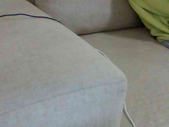 Dollie webcam