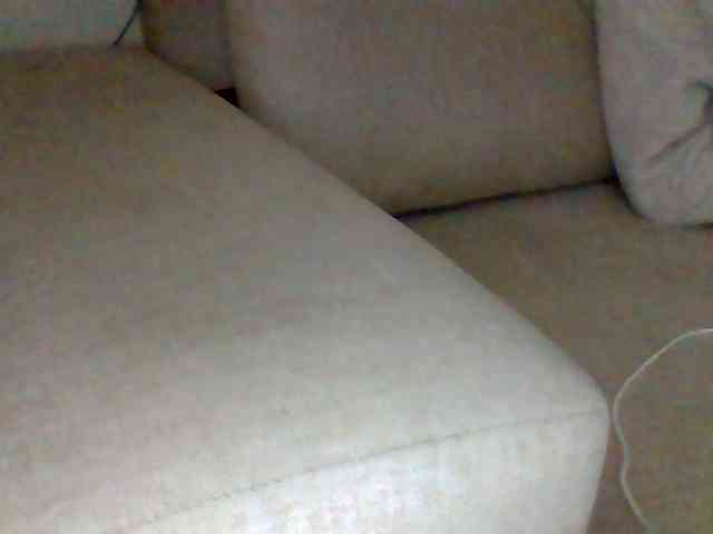 Dollie webcam