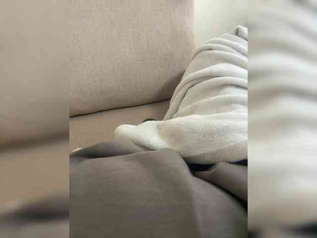 Dollie webcam