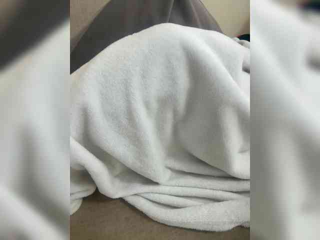 Dollie webcam