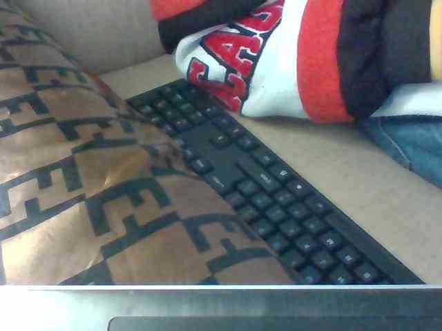 Dollie webcam