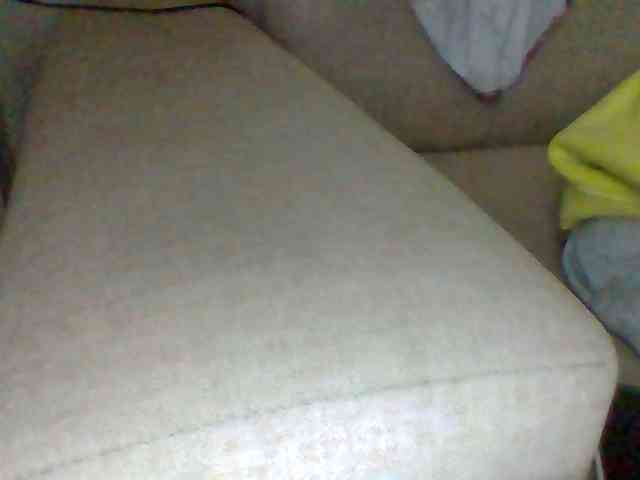 Dollie webcam