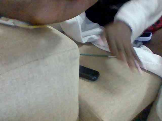 Dollie webcam