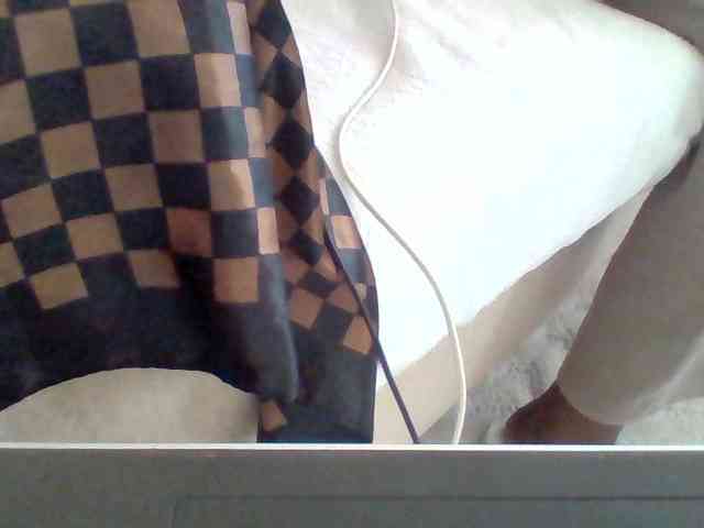 Dollie webcam