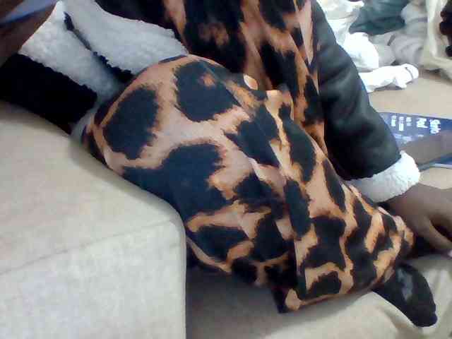 Dollie
