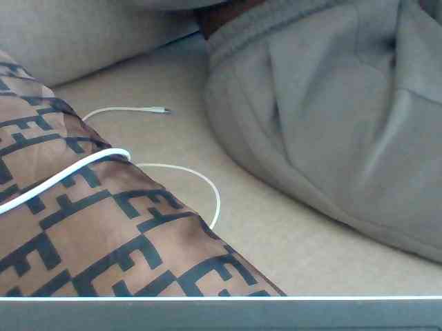 Dollie webcam