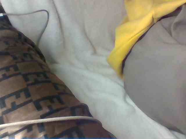 Dollie webcam