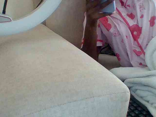 Dollie webcam