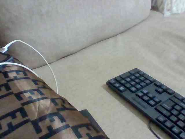 Dollie webcam