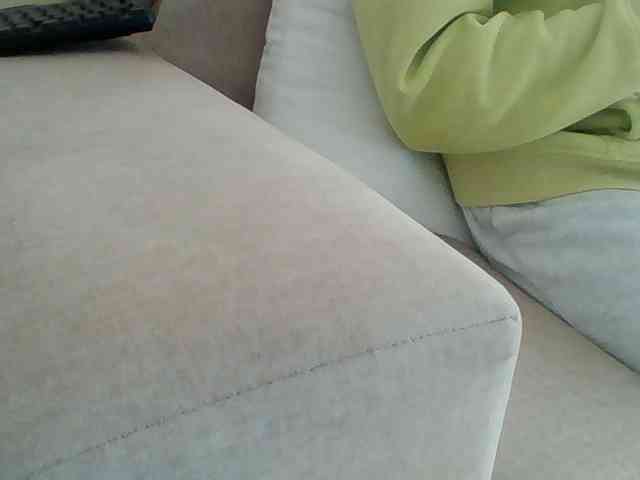 Dollie webcam