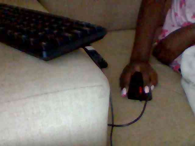 Dollie webcam