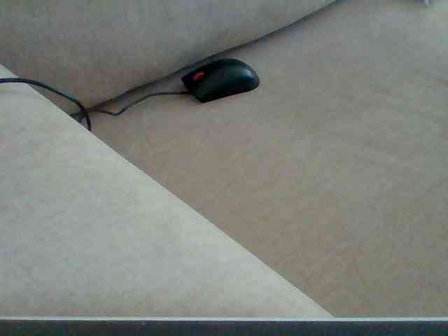 Dollie webcam