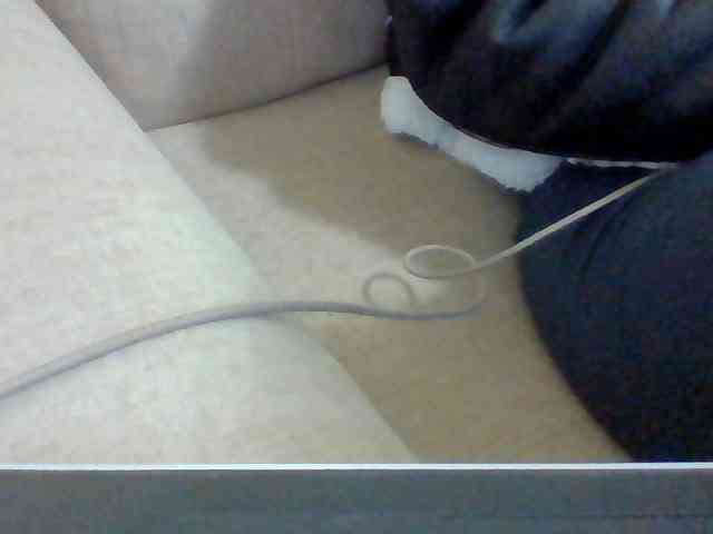 Dollie webcam