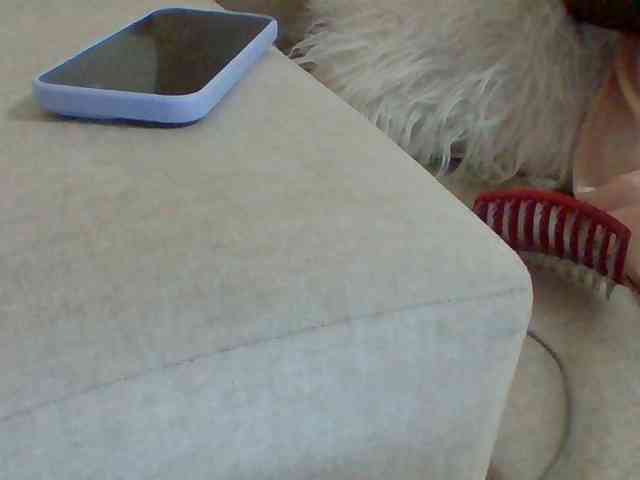 Dollie webcam