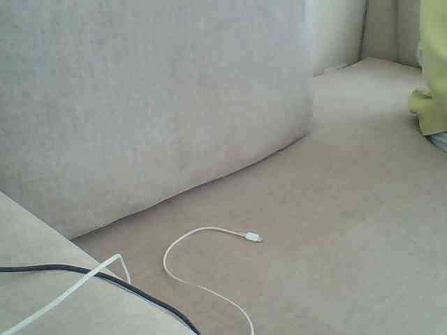Dollie webcam