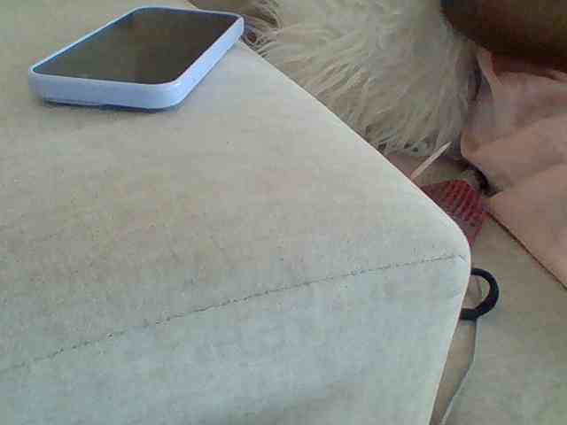 Dollie webcam
