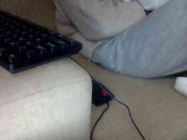 Dollie webcam