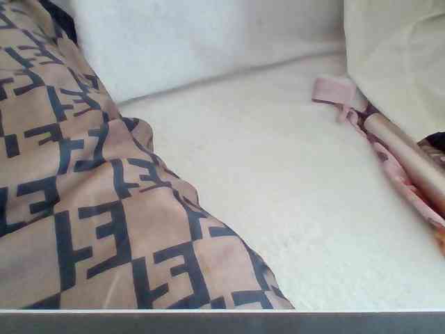 Dollie webcam