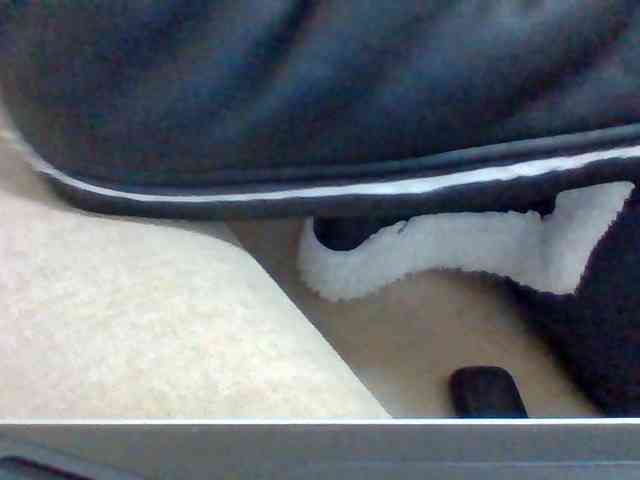 Dollie webcam