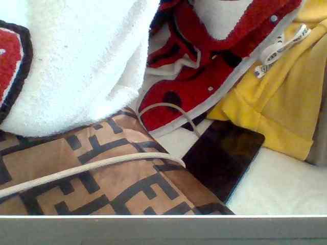 Dollie webcam