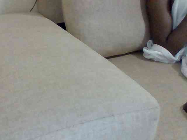 Dollie webcam