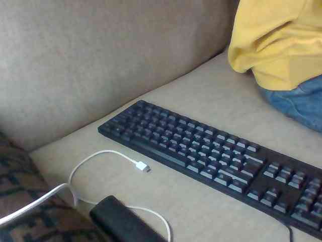 Dollie webcam