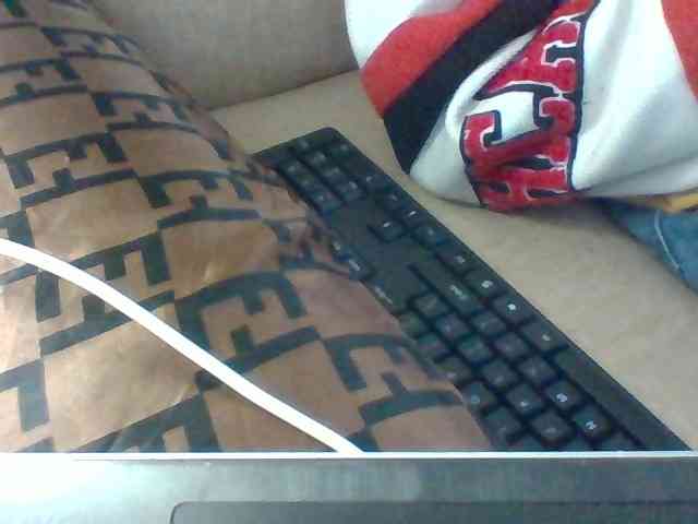 Dollie webcam