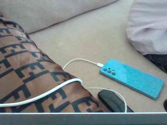 Dollie webcam