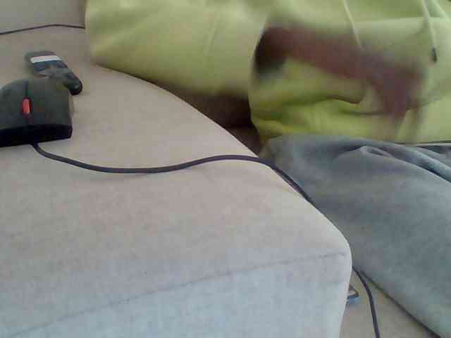 Dollie webcam