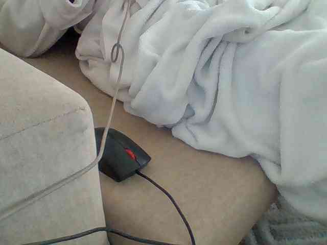 Dollie webcam