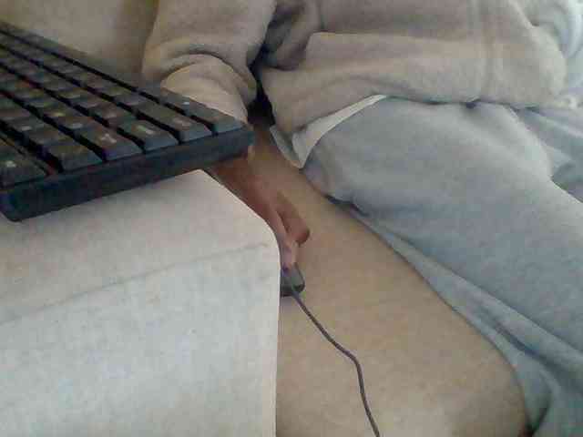 Dollie webcam