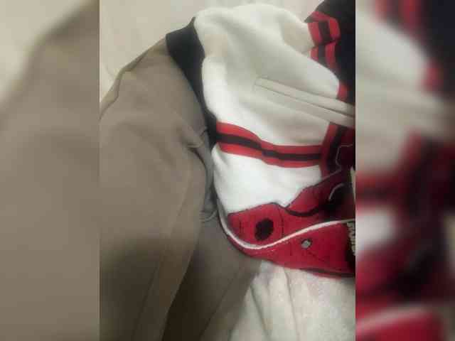 Dollie webcam