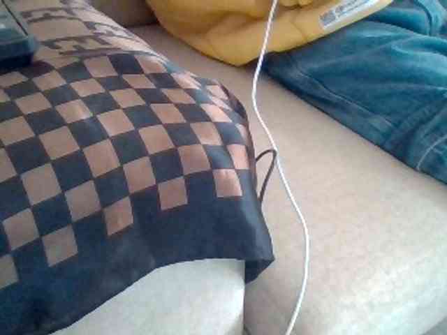 Dollie webcam