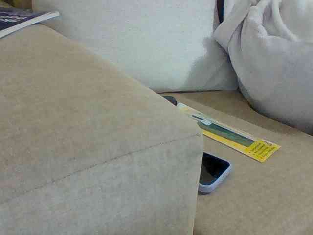 Dollie webcam