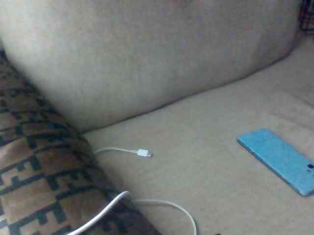 Dollie webcam