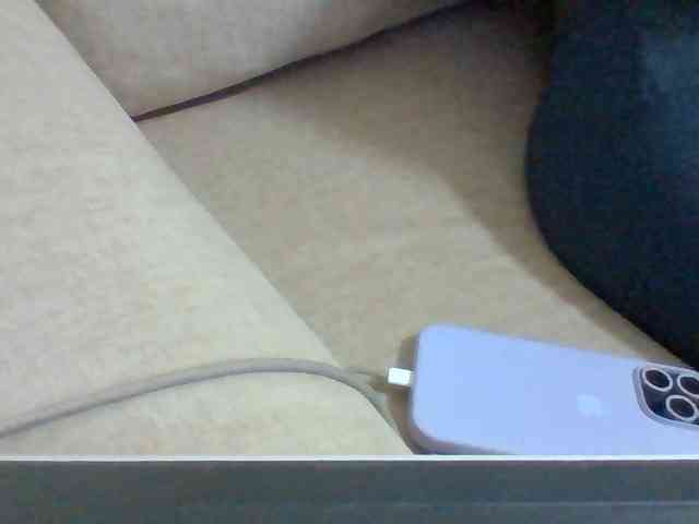 Dollie webcam