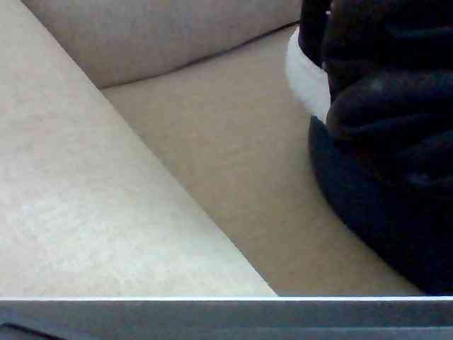 Dollie webcam