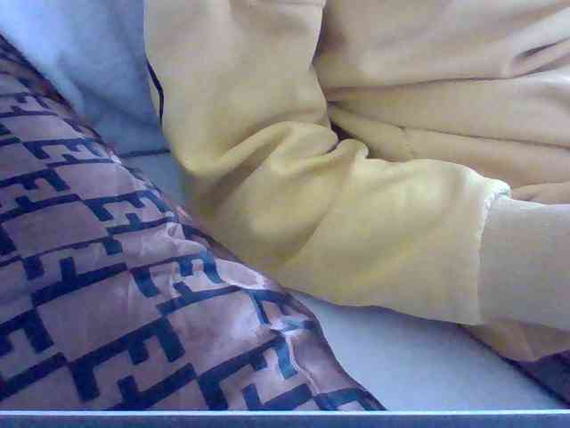 Dollie webcam