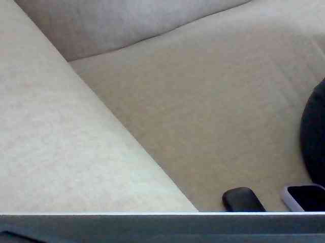 Dollie webcam