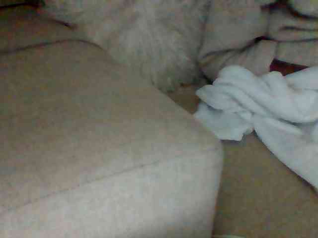Dollie webcam