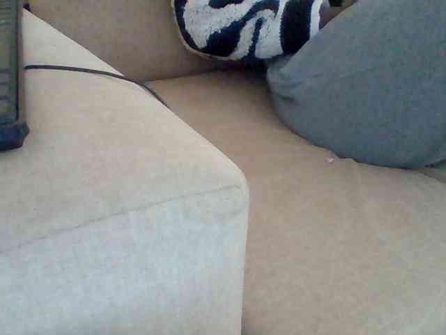 Dollie webcam