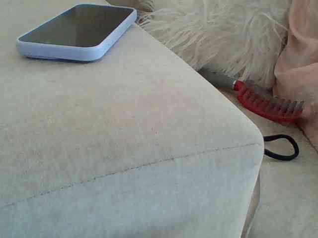 Dollie webcam