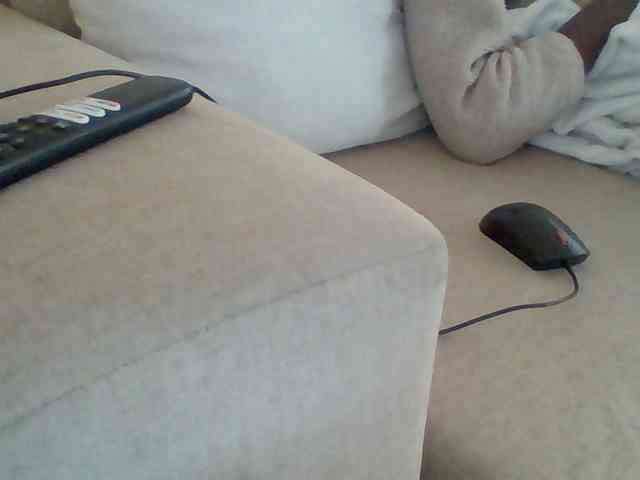 Dollie webcam