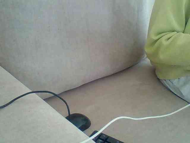 Dollie webcam