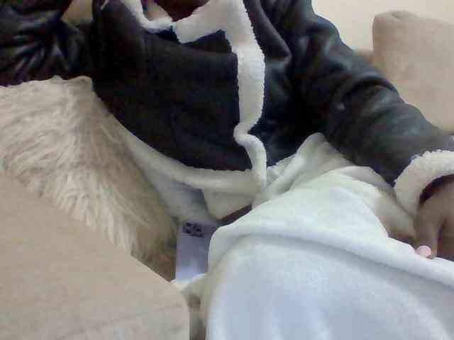 Dollie