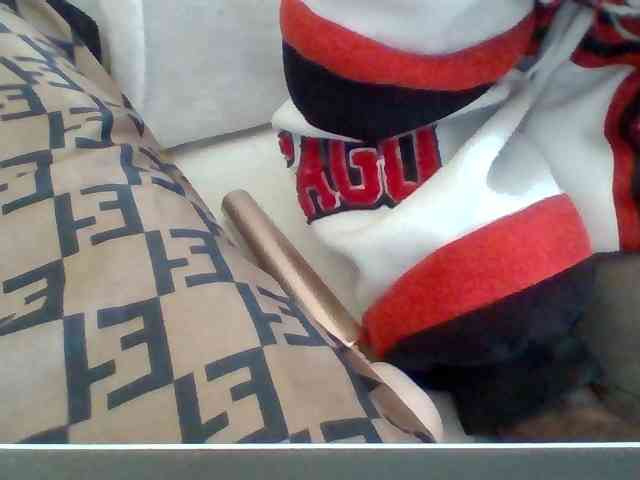 Dollie webcam