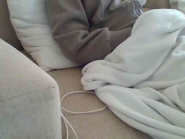 Dollie webcam