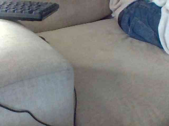 Dollie webcam
