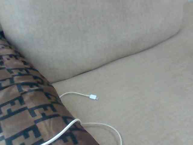 Dollie webcam