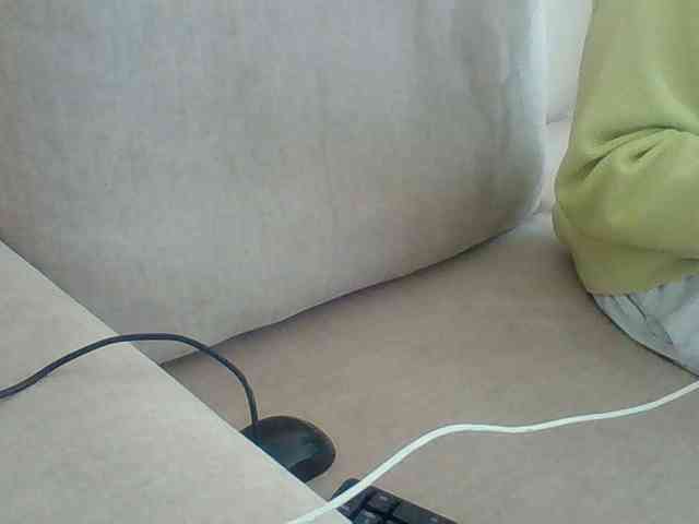 Dollie webcam
